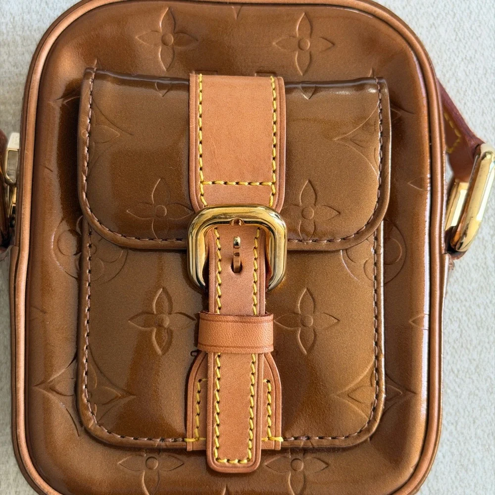 Louis Vuitton stylish brown